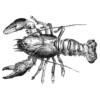 Sandy profile picture