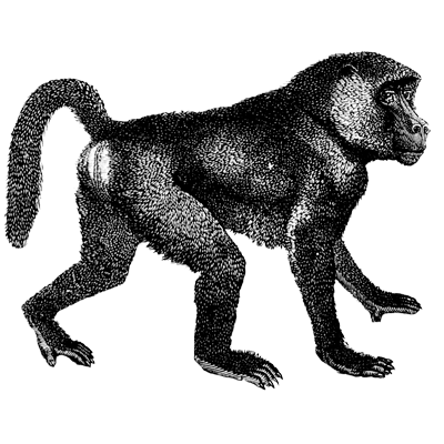 Charlyns Anderson profile picture