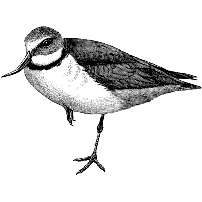 QuickBooks Integrations profile picture