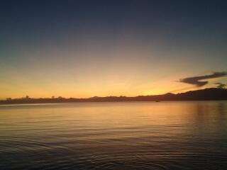 Albert Fernandez profile picture