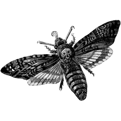 tiranga game profile picture