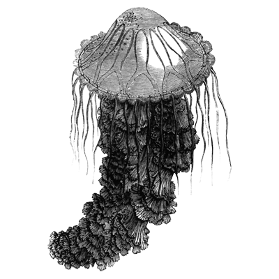 sunparo01 profile picture