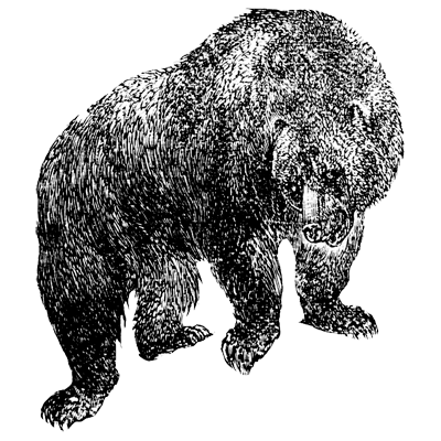 Marco profile picture